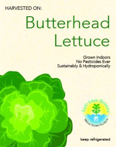 Butterhead -100